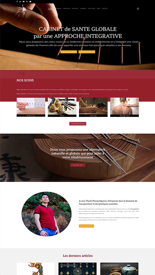Acupuncture-Nguyen-portfolio-Gini-Concept-Design