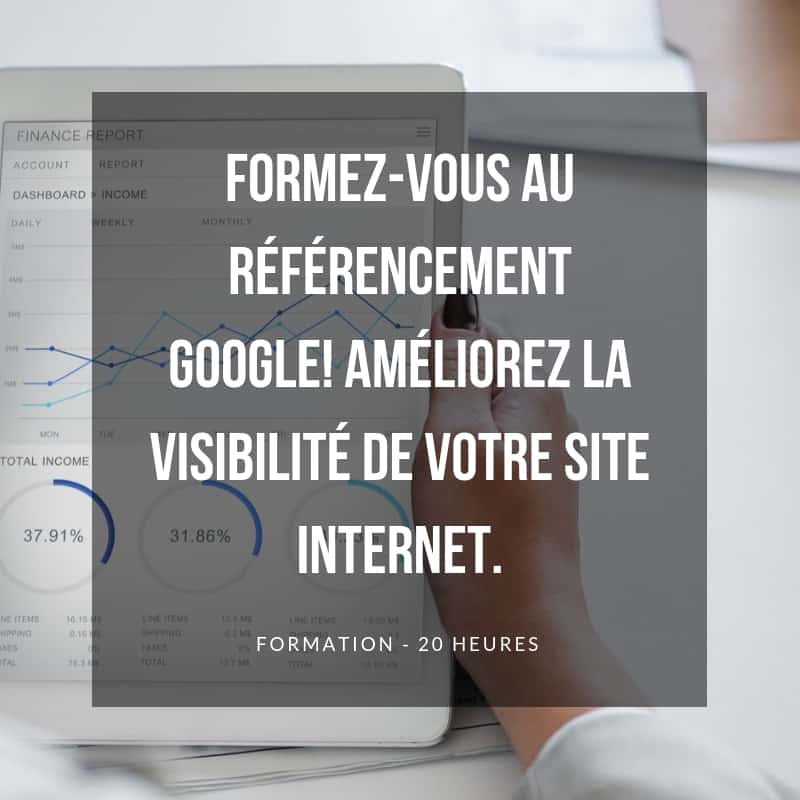 FORMEZ-VOUS-AU-RÉFÉRENCEMENT-GOOGLE-AMÉLIOREZ-LA-VISIBILITÉ-DE-VOTRE-SITE-INTERNET